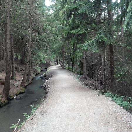 La Crotta Gignod - Cir Vda Gignod 002 Daire Aosta Dış mekan fotoğraf
