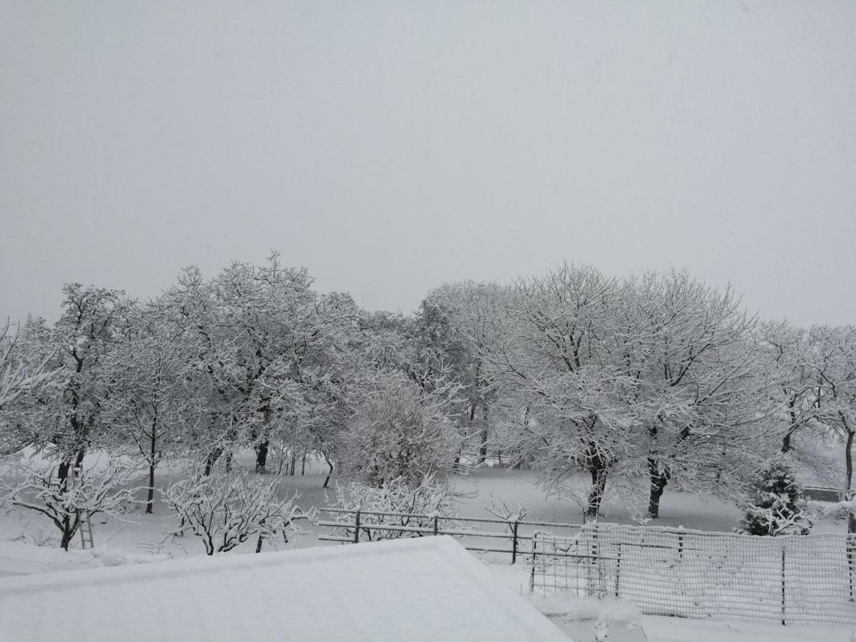 La Crotta Gignod - Cir Vda Gignod 002 Daire Aosta Dış mekan fotoğraf